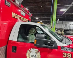 Ready to drive! Westminster VFD Truck Repaired & Painted
